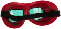 Защитные очки РОСОМЗ ЗН18 DRIVER RIKO 3 21822 закрытые, с непрямой вентиляцией